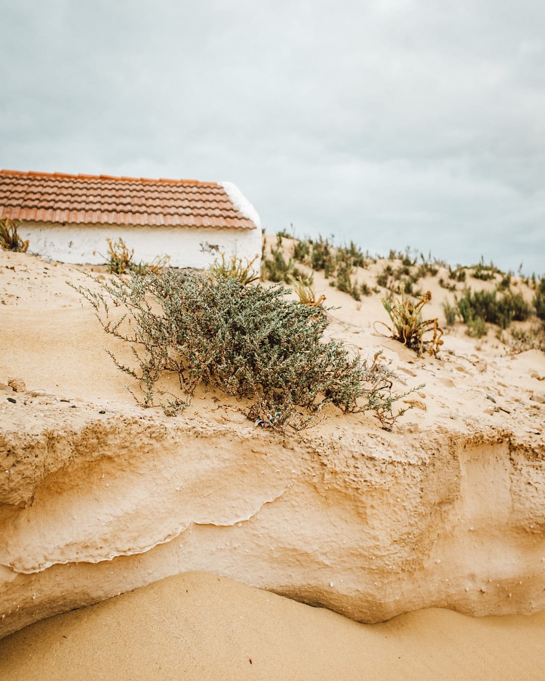 Hardly working (Porto Santo)