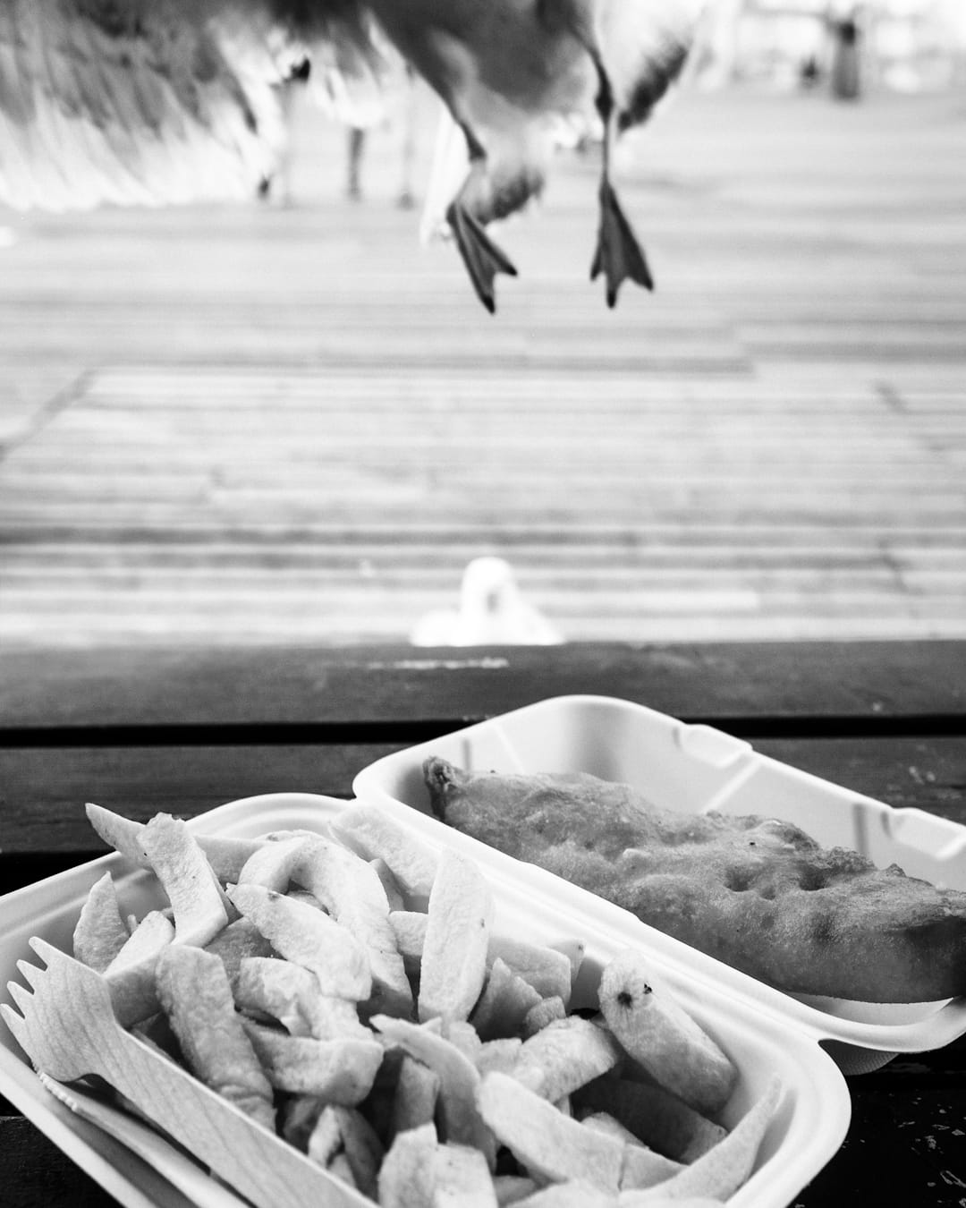 Quintessential Brighton